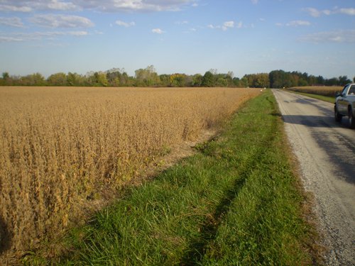 Property photo 7 - 75+/- Acres in 9 Tracts